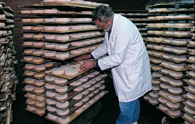 fromage de Savoie