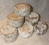 Goat cheese tomme